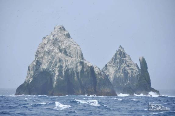 Aproximando-se de Shag Rocks, entre Falkland e Geórgia do Sul